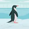 Seemab Shafi - @seemab.shafi - TikTok