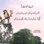 seemashafi - @seemashafi80 - Instagram