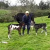 segundo chabla - @segundochablawww.tiktok1 - TikTok