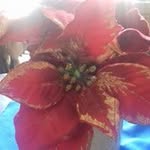 Segundo Chabla - @s.chabla - Instagram
