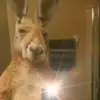Segundo Gonzalez - @segundo.gonzalez07 - TikTok
