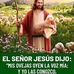 Segundo Lema - Facebook