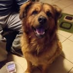 Segundo Quezada - @segundo.quezada.5876 - Instagram