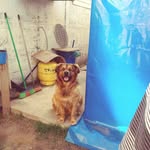 Segundo Quezada - @segundo.quezada.315 - Instagram