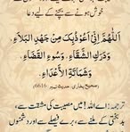 Sehba Ali - Facebook