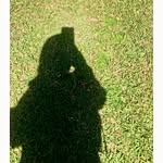 Sehba Ali - @sehbaali1919 - Instagram