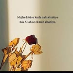 sehba ali - @sehba.ali - Instagram
