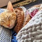 Sehba Ali - @sehba_ali1 - Instagram
