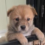 강세이 - @sei__kang - Instagram