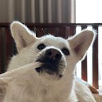 강새이 - @sei_kang - Instagram