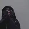 聖華 - @seika_ng - TikTok
