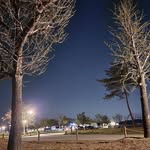 Se Jin Ahn - @sejin.ahn.5209 - Instagram