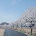 Sejin Ahn - Facebook