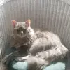 Julia Selby Smith - @juliaselbysmith - TikTok