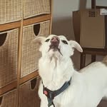 Rory Selby-Smith - @rory.selbysmith - Instagram