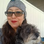 Selena Becker - @harley.theyorkiepoo - Instagram