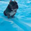 Selena Becker - @selena.becker7 - TikTok