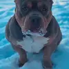 Selena Becker - @selena.becker - TikTok