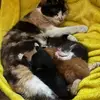 Selena Becker - @selena.becker2 - TikTok