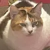selena bernard - @sellllenaaa - TikTok