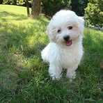 Selena Bess - Facebook