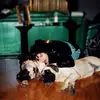 classic.selena - @classic.selena - TikTok