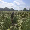 Selena - @selena.gill7 - TikTok