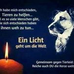 Selina Graf - @sgraf1332132 - Instagram