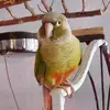 Selena - @selena.hatfield - TikTok