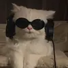 Selena Howard - @gaso77777 - TikTok