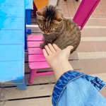 selena_james - @selena17542 - Instagram