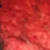 Selena.🤍 - @selenamurillo2007 - TikTok