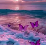 Selena Nasser - Facebook