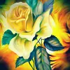 selenaparrish343 - @selenaparrish343 - TikTok