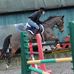 Selene Proctor - Facebook