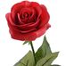 Selena Puente - Facebook