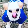 Selena - @selenapuente11 - TikTok