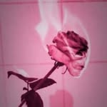 Selena Reese - @selenareese5 - Instagram