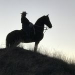 Desert Rider - @selenarider01 - Instagram