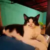 selena - @selenarizki - TikTok