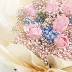 Selena Rock - @selena.rock.14 - Instagram