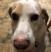 Selene Sauer - Facebook