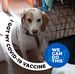 Selene Sauer - Facebook