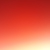 Selina Sauer - @selinasauerneuuu - TikTok