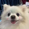 Selena 🦦 - @selena_seng - TikTok