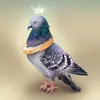 selenastark5 - @selenastark5 - TikTok
