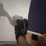 Selena wells - @selenawells28 - Instagram