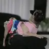 selene castillo - @selenecastillo009 - TikTok