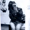 SELENE - @selenecastillo4 - TikTok
