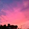Selene Miller - @millerial - TikTok